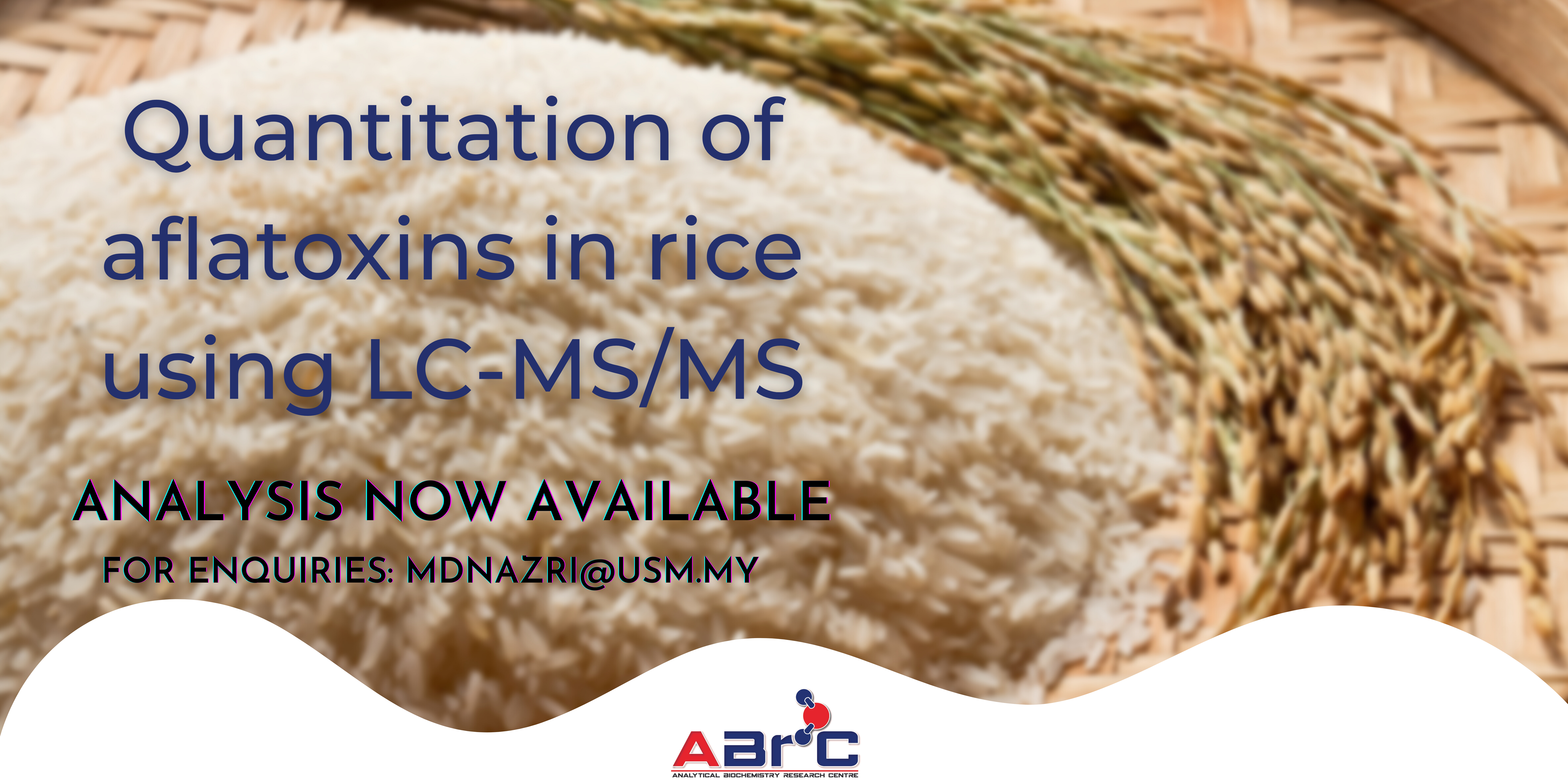 Quantitation of aflatoxins in rice using LC MSMS web banner
